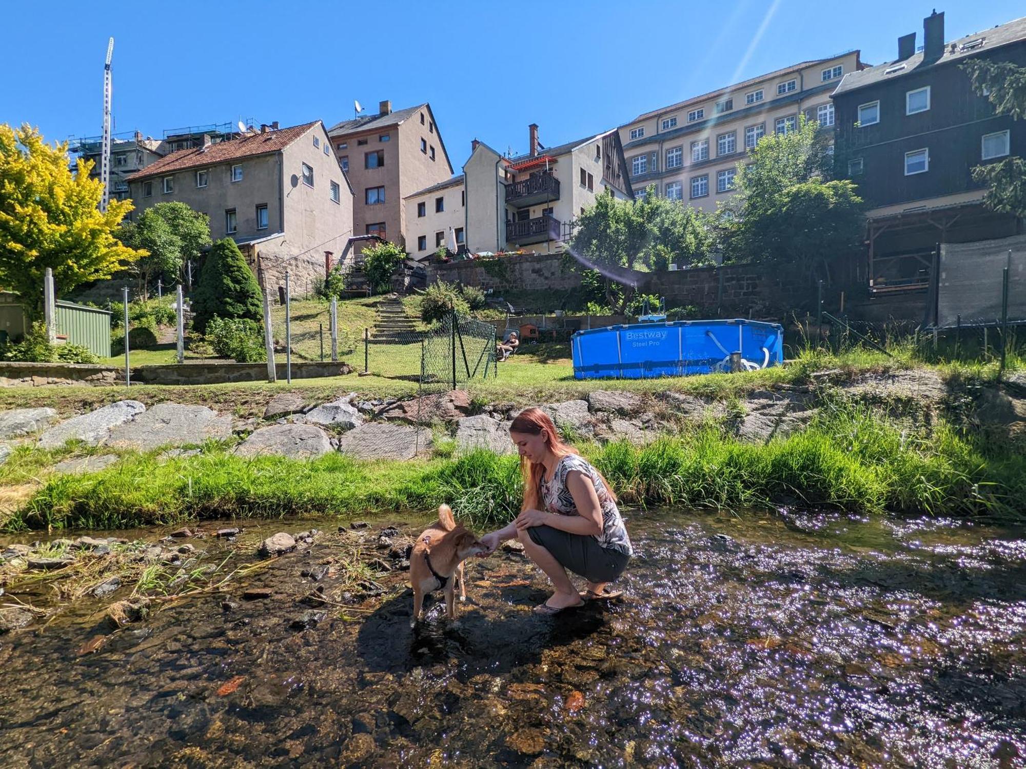 F1 - Urlaubsmagie - Helle Wohnung Mit Sauna & Pool & Whirlpool Sebnitz Exterior foto